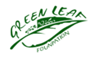 ใบไม้เขียว (Green leaf)
